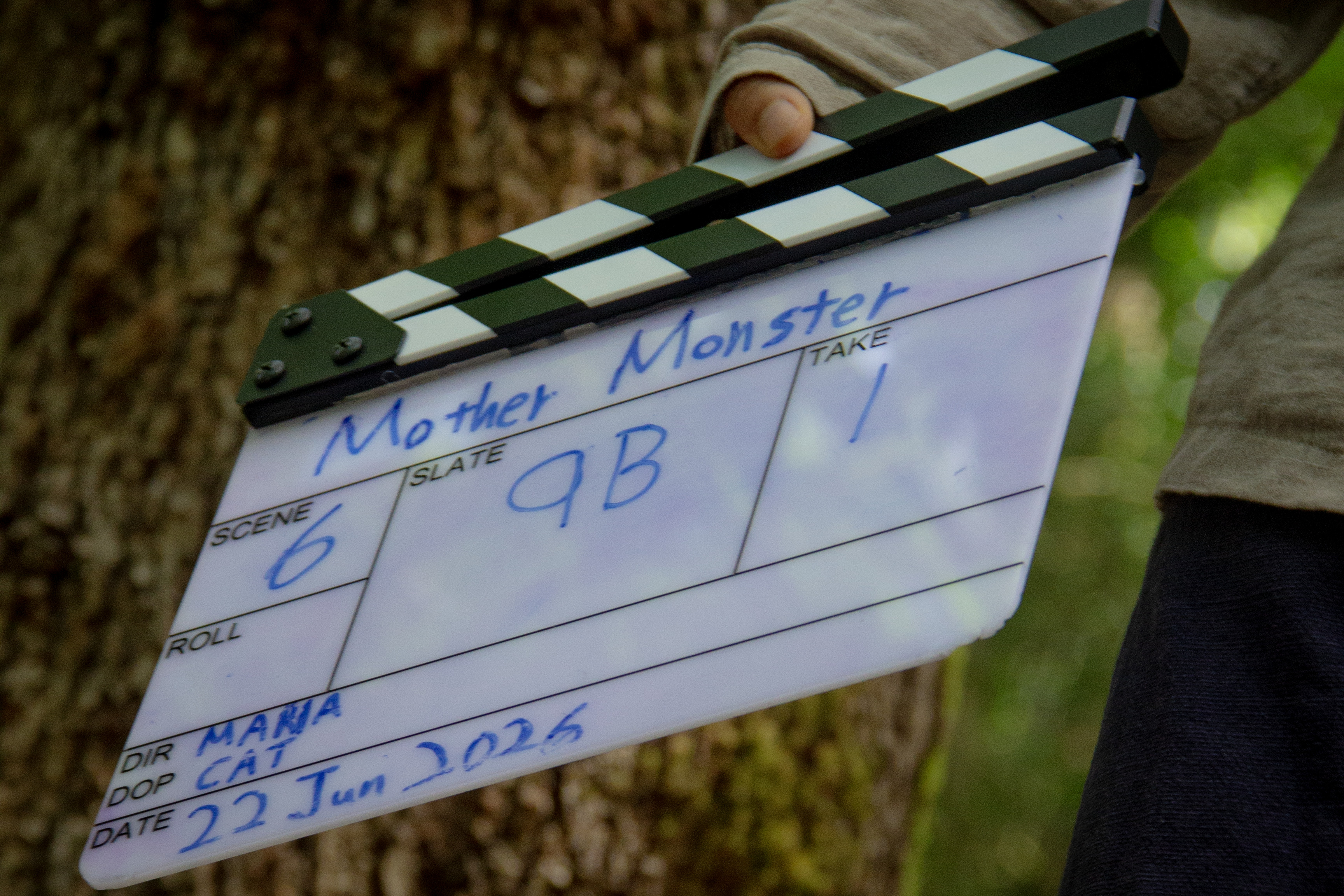 Film monitor on set
