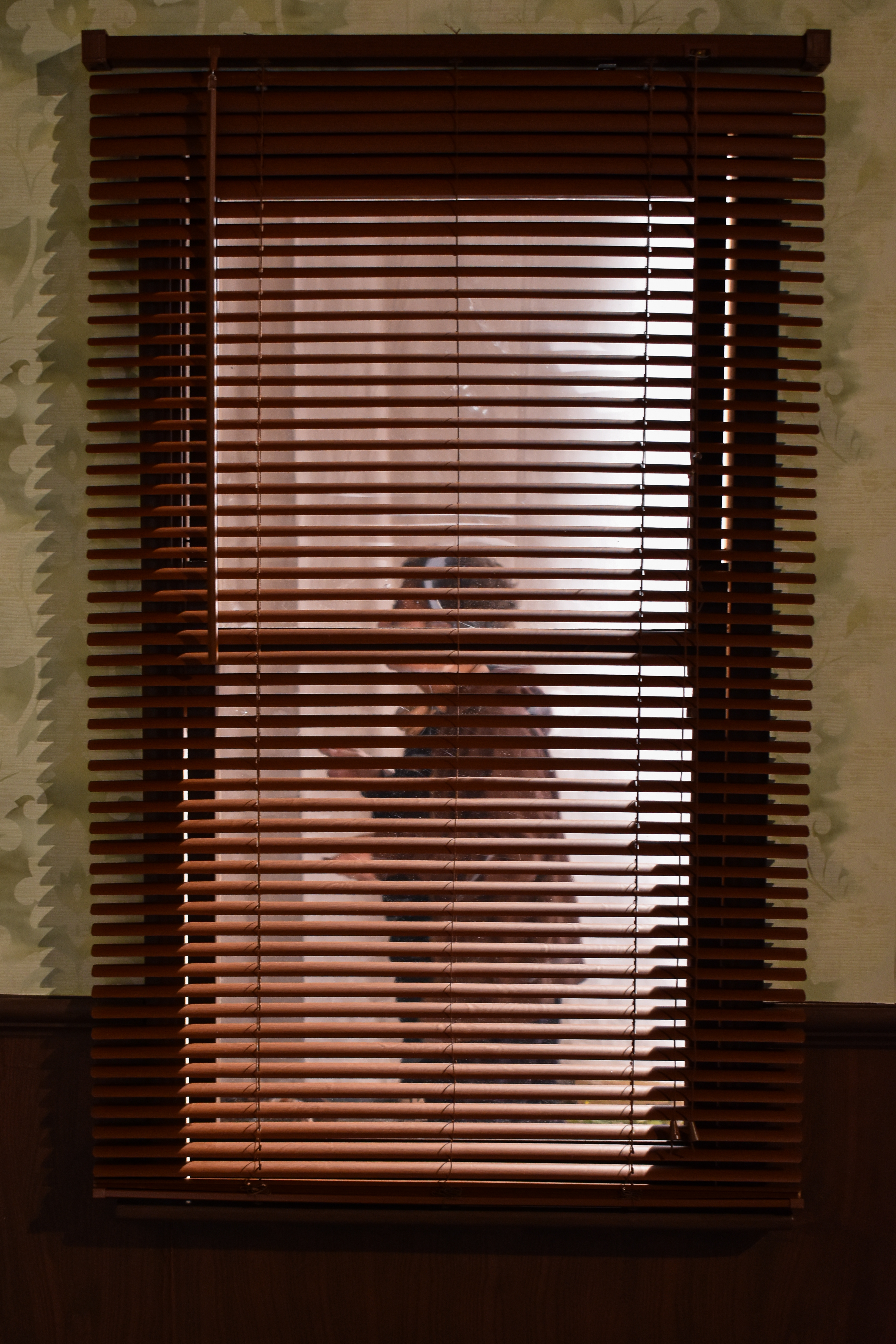 Cinematic silhouette through blinds