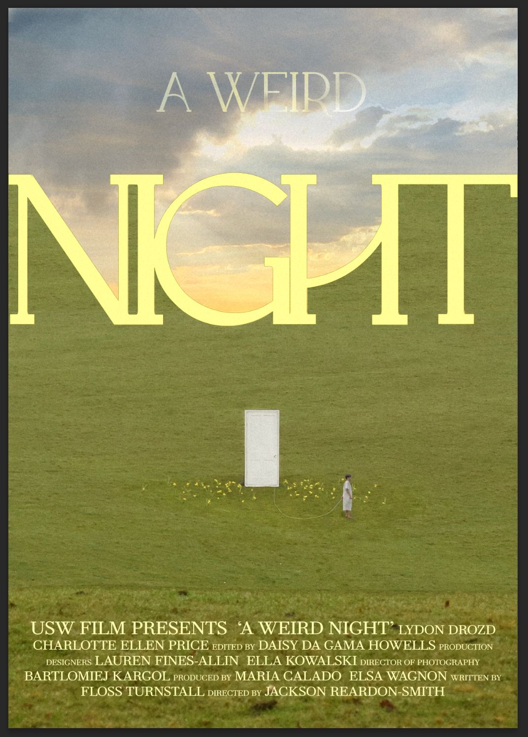A Weird Night film poster